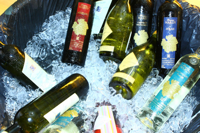 ViniFest 2012 Day 2